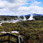 Te Puia Wide 1