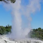 Pohutu Geyser seen from Whakarewarewa